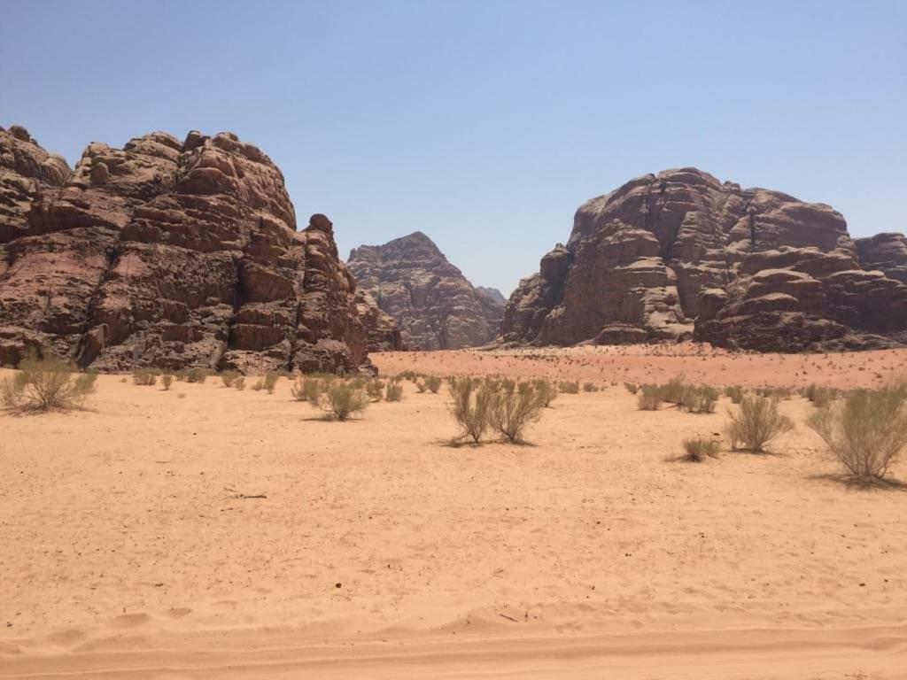 Wadi Rum-Bedouin Tents And Jeep Tours Ngoại thất bức ảnh