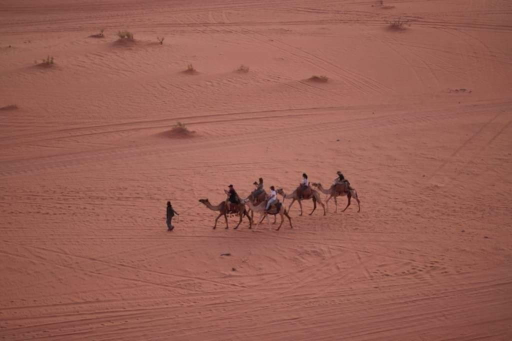 Wadi Rum-Bedouin Tents And Jeep Tours Ngoại thất bức ảnh